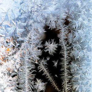 Window ice crystals_2018