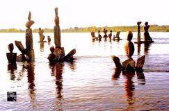 2003: Tribal Waters