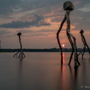 rapides_39_août_2014