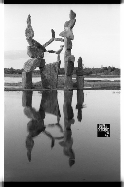 1991 cemented balance 'bird without a cage'