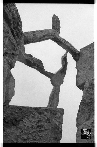 1991 cemented balance "bird without a cage" 
