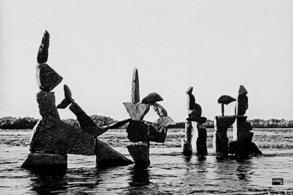 1991.uncemented_June 01