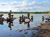 02oct26_Holographic Code rocks water geese 