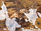 march 2026 riverbed & ice dancing