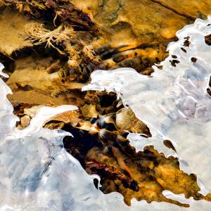 march 2026_riverbed & floating ice