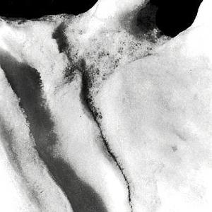 ice snowbird 1989