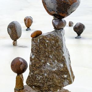 29dec25_The professor